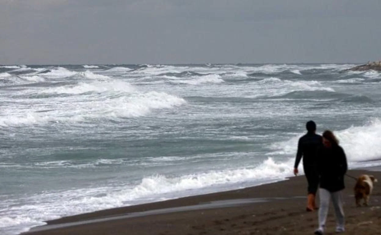 Costa del Sol coastline set to be battered by high seas and winds Sur